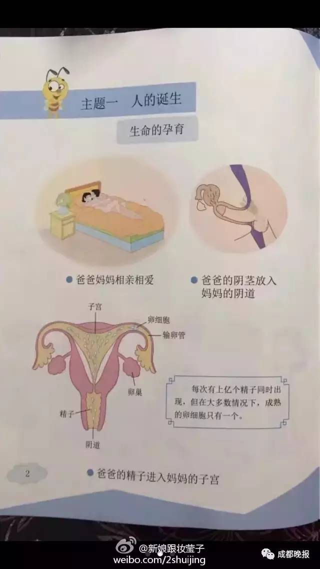 家长批判一年级教育教科书,小学课外读本被家长质疑