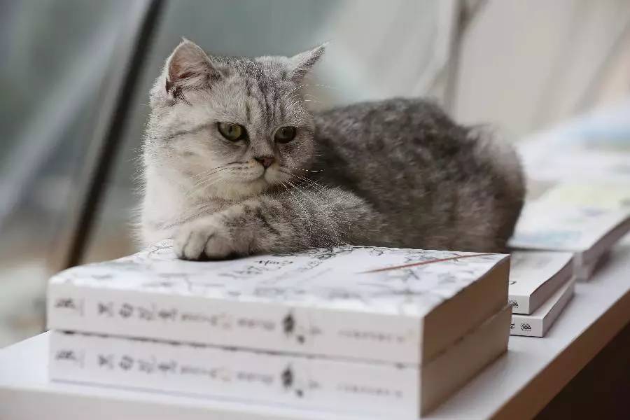 南京春天适合孩子玩的地方,南京情侣适合玩的地方旅游攻略