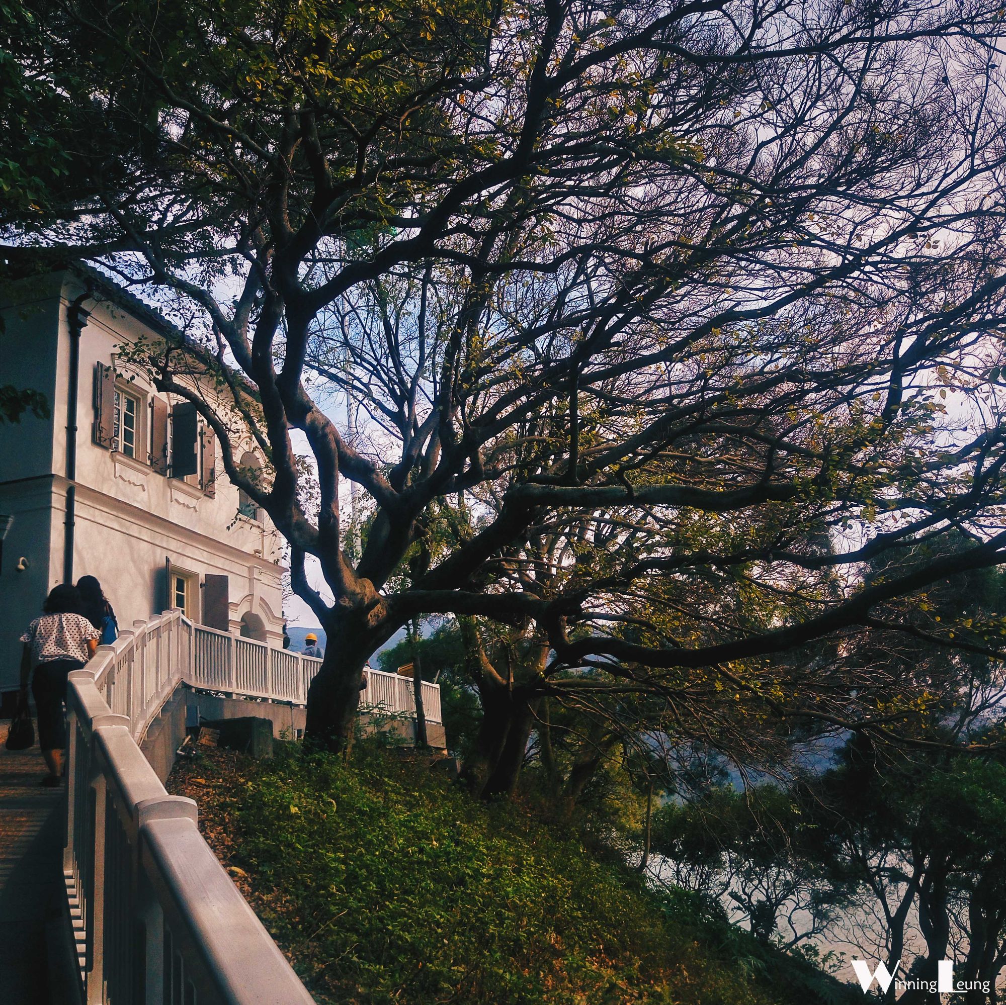 香港深扒:来大澳,记得到旧警署叹上一朝半日