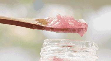 樱花季限定单品,樱花季限定款好物盘点