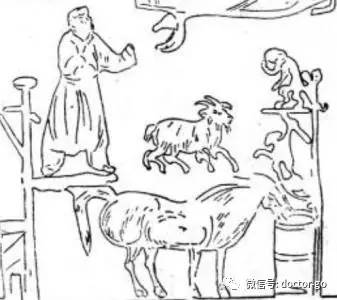 小牛喂鲸鱼奶,一天增重近两百斤!这些冷姿势,简直亮瞎眼