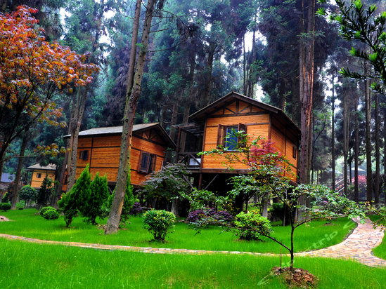 恩施森林旅游,恩施咸丰坪坝营旅游景点