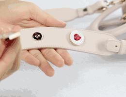 有情人相爱一辈子 (情人会真心相爱一辈子)