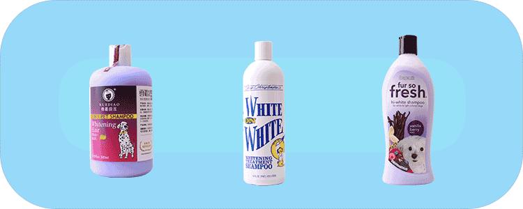 宠物香波哪个好用,什么宠物香波好用