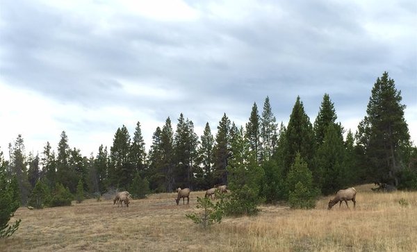随手一拍都是美景美国大农村,英国随手一拍都是风景