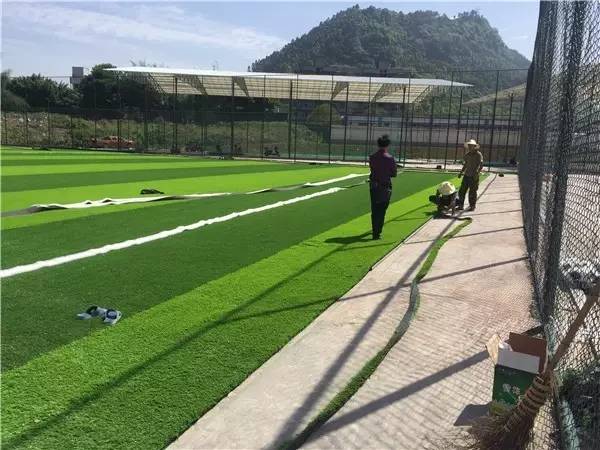 临港为什么那么多公园,宜宾临港公园