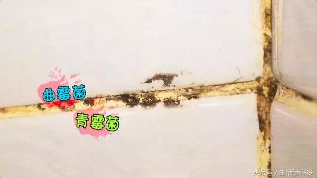 回南天的霉菌用什么擦洗,回南天霉菌怎么消