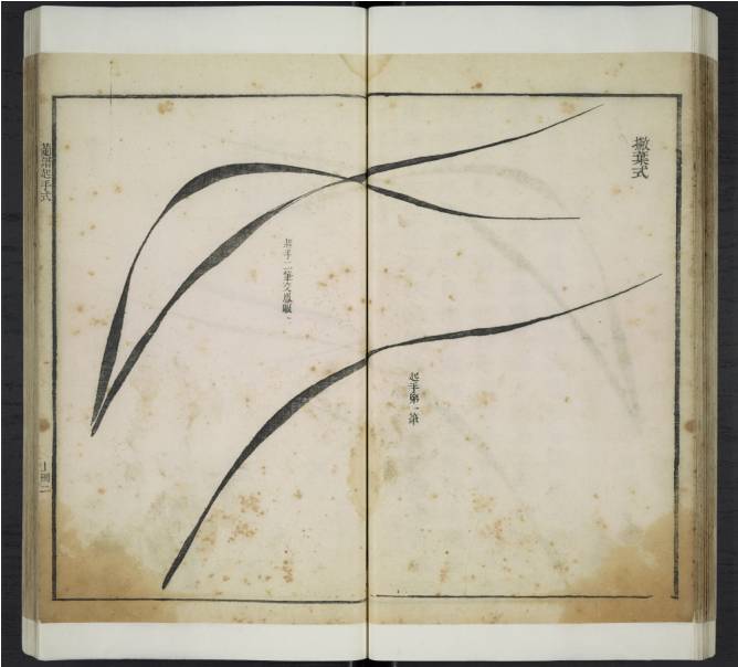 齐白石与芥子园画谱之缘,齐白石画作大全集