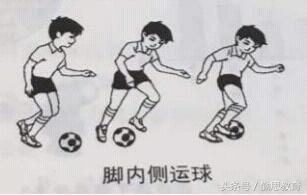 17年小学教资教育知识与能力真题,2022小学教资教育知识与能力试卷