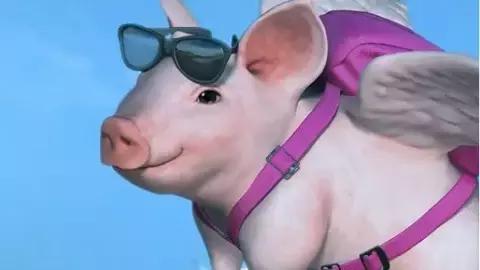 今年流行的爆款t恤,2013女t恤白字母