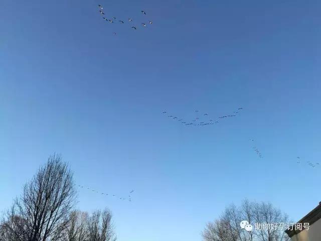 保胎的方法和注意事项 (一般保胎是从什么时候开始保胎的)