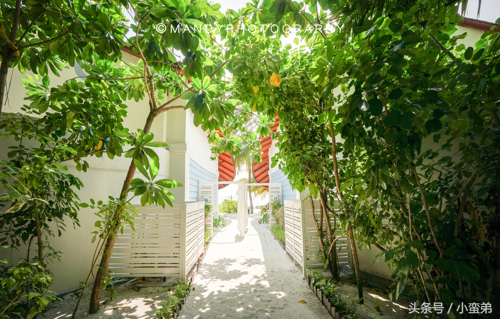 马尔代夫值得去多次吗,马尔代夫有多重要