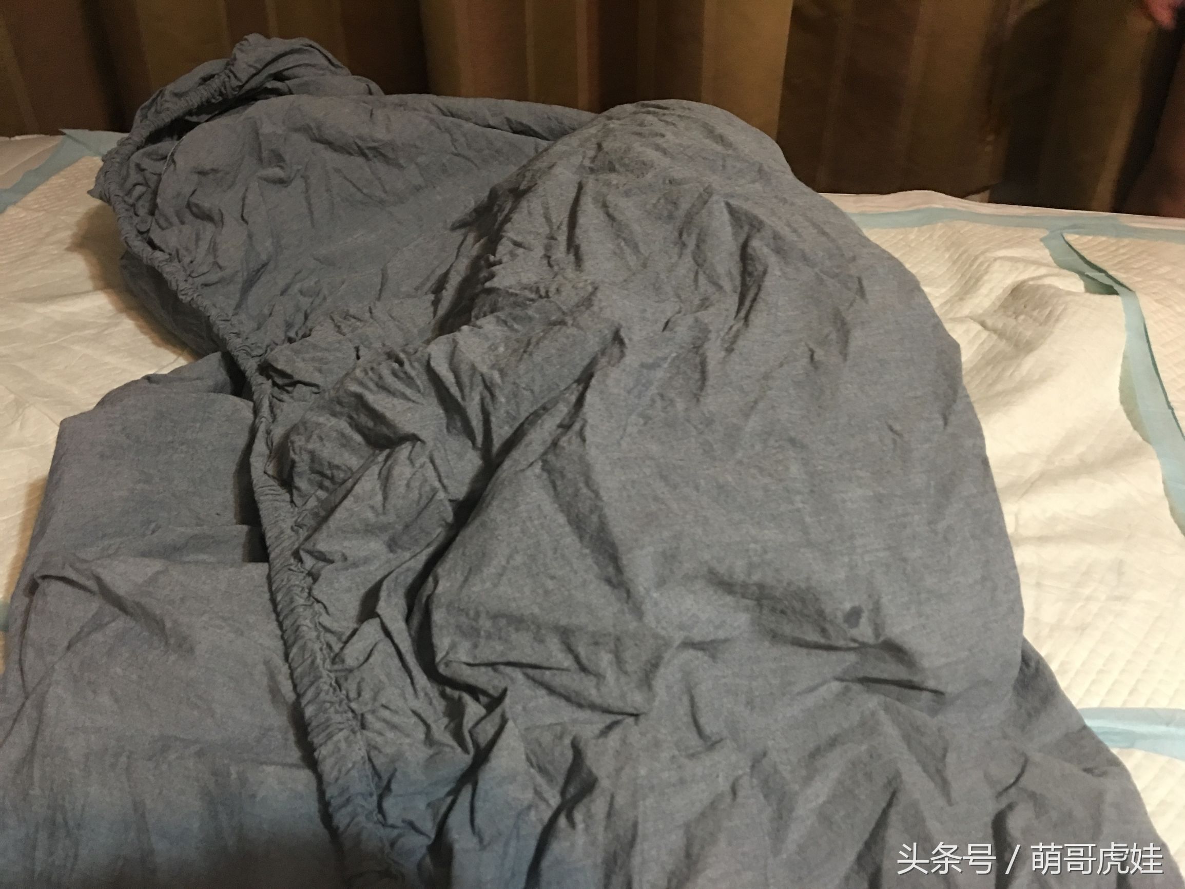 大家都是怎么防止猫尿床的,家有恶猫尿床