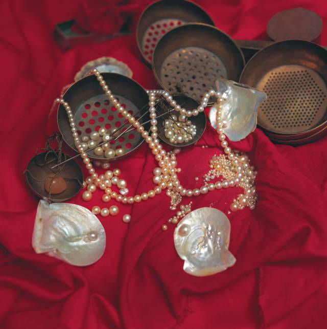 迪拜海边珍珠 (迪拜潜水探险)