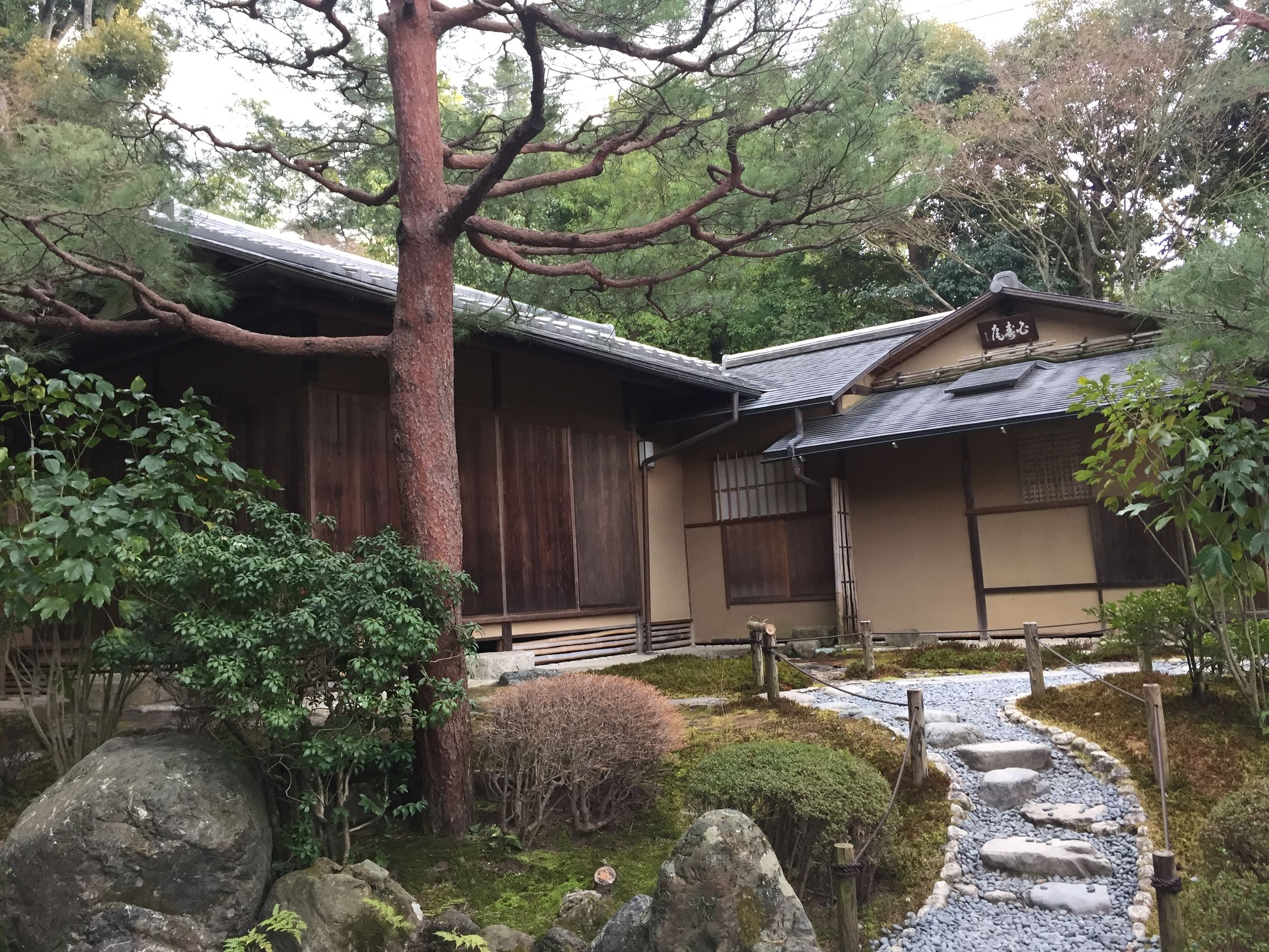 茶之道在于心静,茶是心静的良药