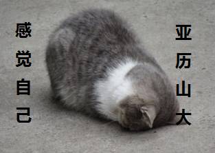 小叶增生是什么意思,小叶增生最怕三种菜