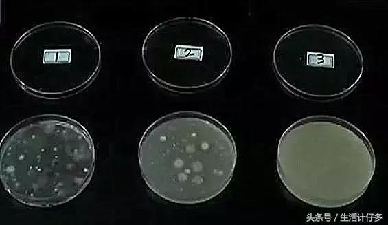 回南天的霉菌用什么擦洗,回南天霉菌怎么消