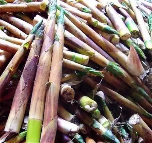 西双版纳旅游好吃的,西双版纳旅游好吃的水果