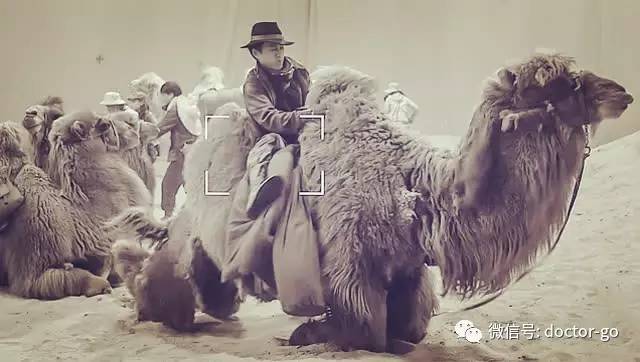 小牛喂鲸鱼奶,一天增重近两百斤!这些冷姿势,简直亮瞎眼