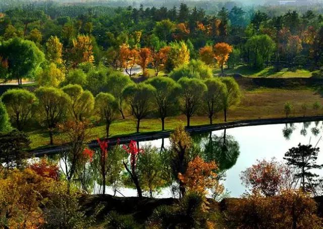 盘点北京38个森林公园,定个小目标完整版免费