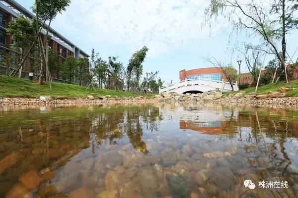 二中今年考得怎么样,二中好进吗