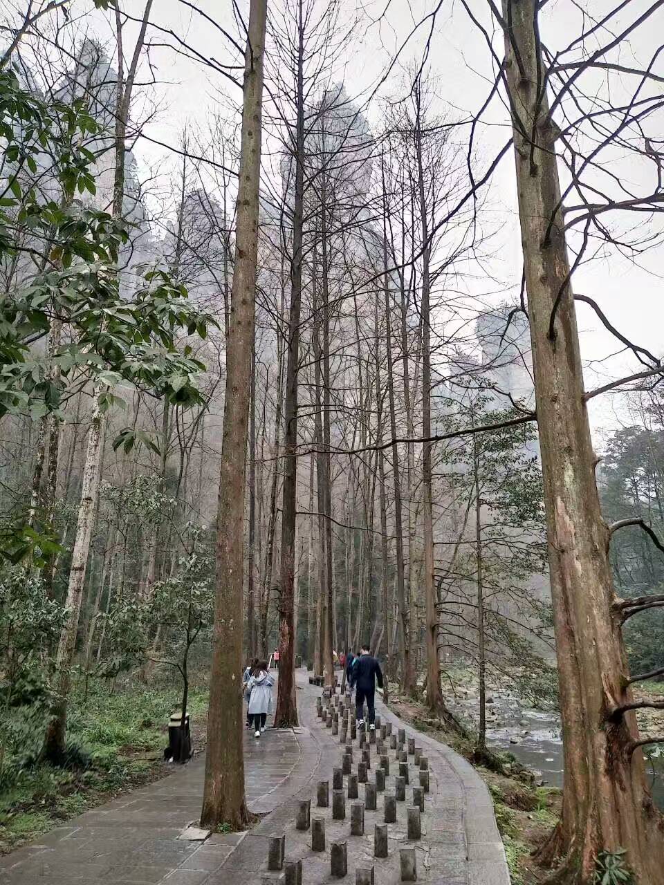 老人湖南旅游攻略,湘西旅游攻略中老年游玩