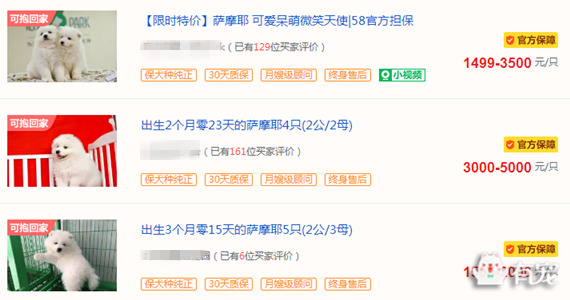 鐙楀競鎺㈣ (鎺㈣鐙楀競)