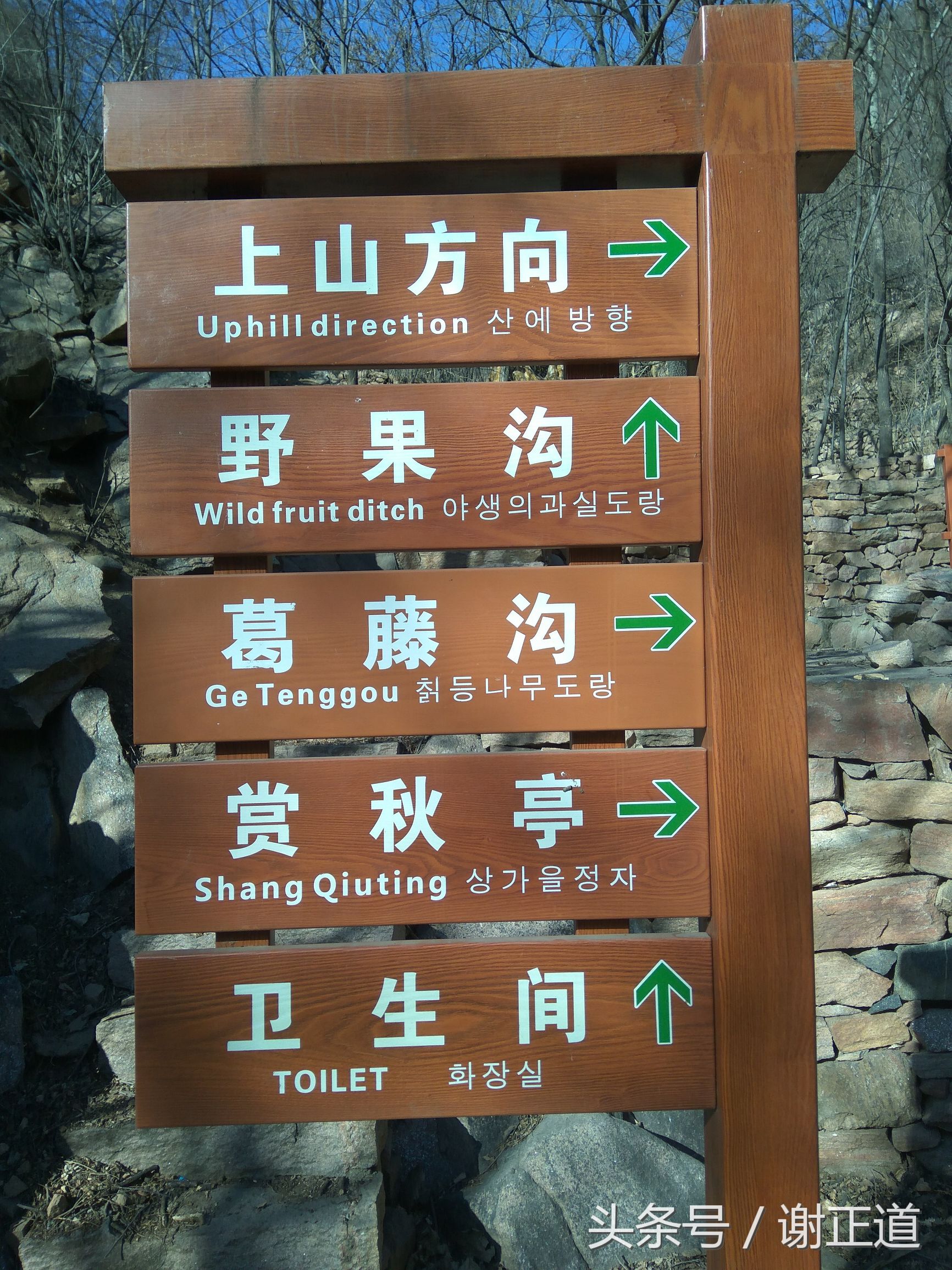 灵寿秋山风景区攻略,灵寿秋山自然风景区电话