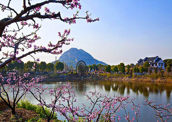 2023环阳山半程马拉松第一名,无锡阳山马拉松现场