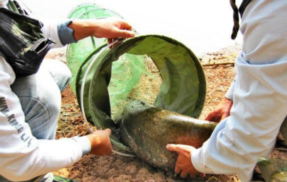 老钓鱼人经验,野钓鲶鱼技巧和方法