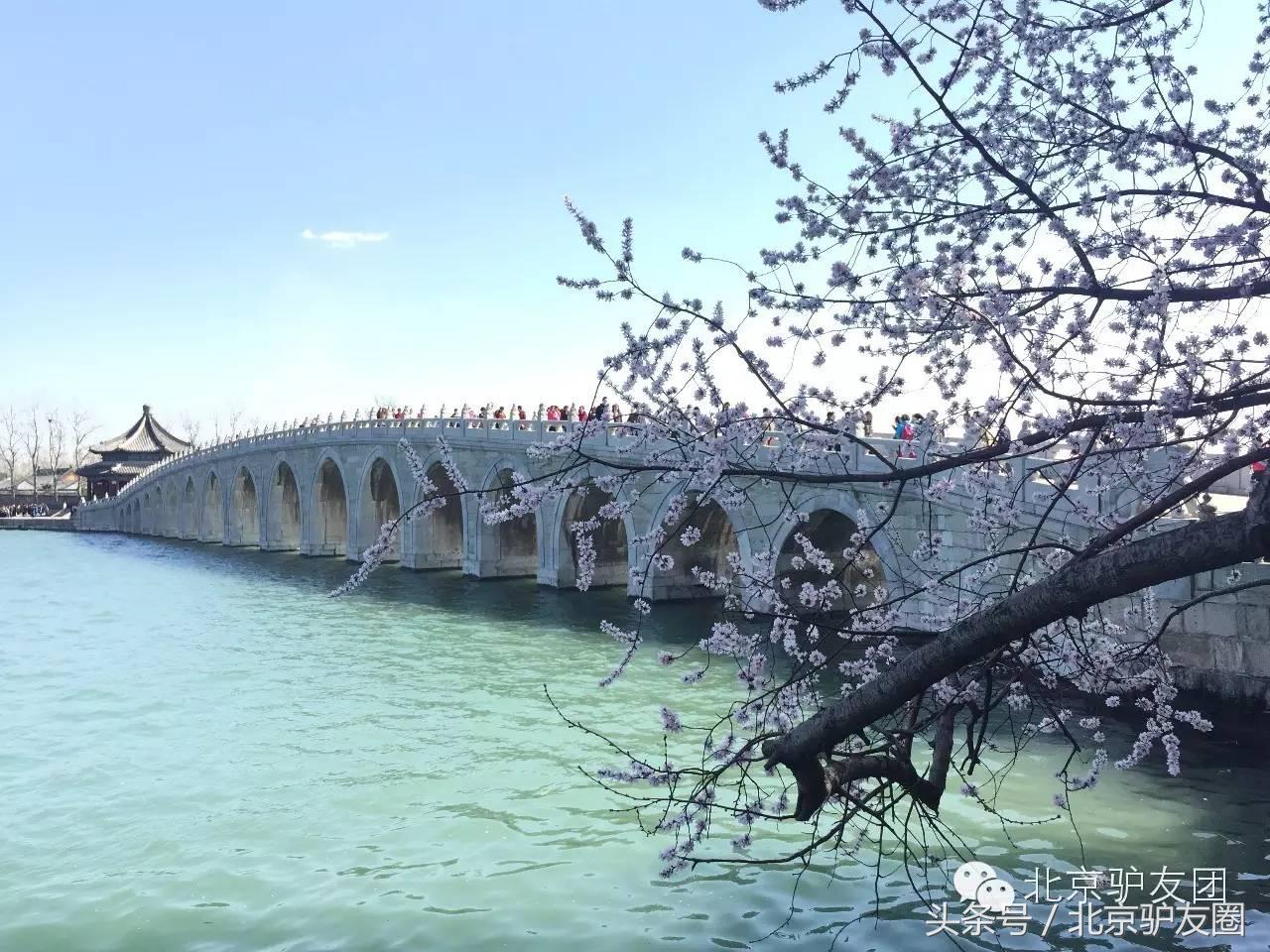 颐和园最美人间四月天,颐和园最美紫色花海