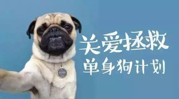 美女、混圈子、减肥、藏私房钱，经济学家怎么会这样！