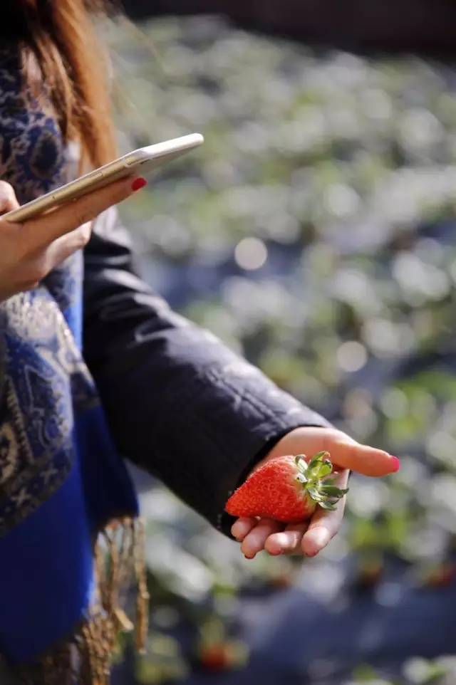 word天！大金普这60个好地方够你玩上一整年！