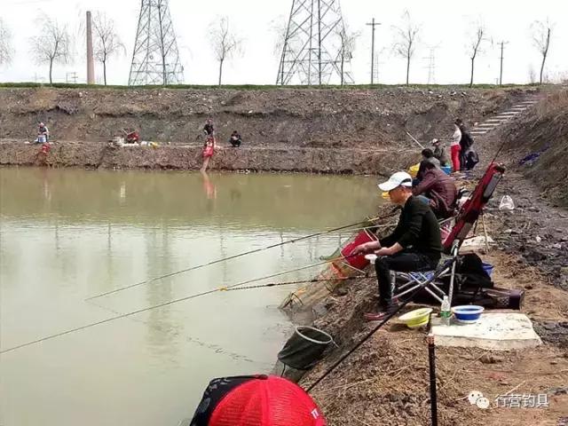 淮北钓鱼比赛直播,第一届名钓杯钓鱼邀请赛