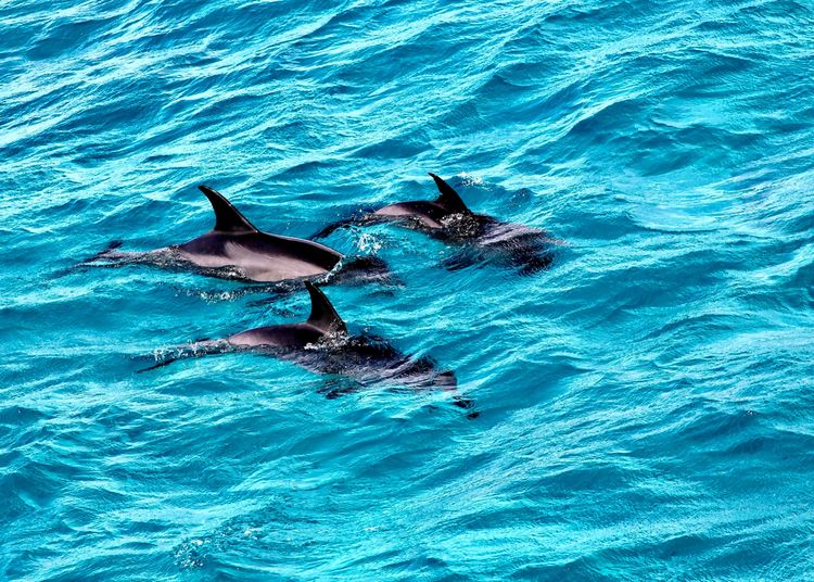 嗨哩文旅丨阿拉伯沙漠明珠、古埃及掠影