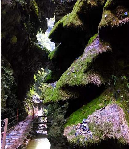 恩施利川石林旅游景点,恩施观音峡旅游攻略