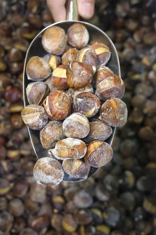 卖栗子月收入,90后小伙摆摊卖了10年板栗饼