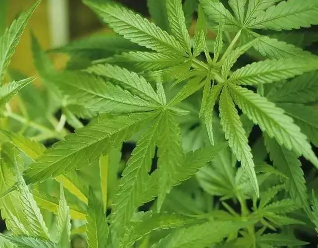 你的鞋柜里永远都缺一双鞋,你的鞋柜不可缺少的鞋子