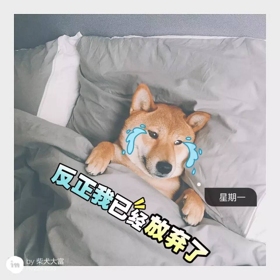 让图片超清晰的软件,一拍照就好看的美图软件