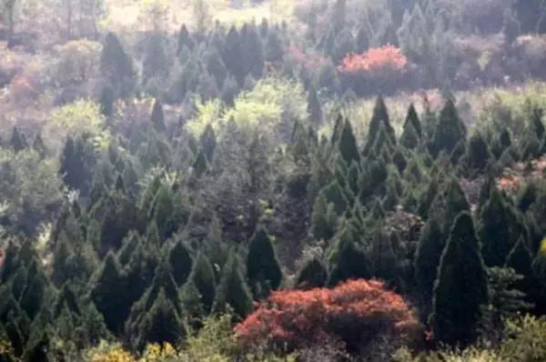 定个小目标100天,定个小目标完整版