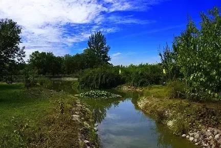 盘点北京38个森林公园,定个小目标完整版免费