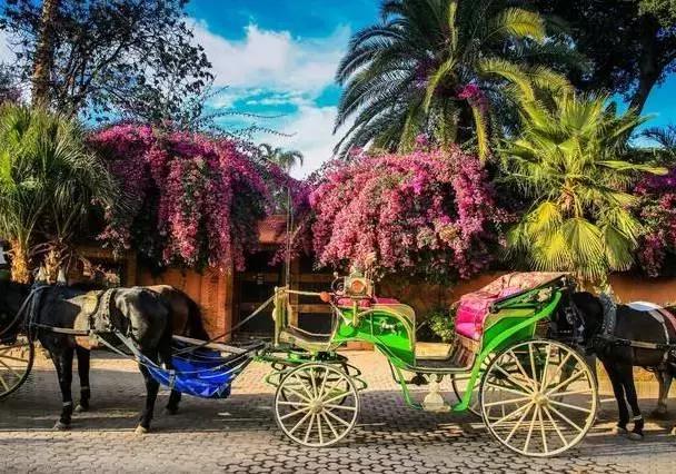 摩洛哥旅游攻略美文,11月底摩洛哥旅游攻略最新