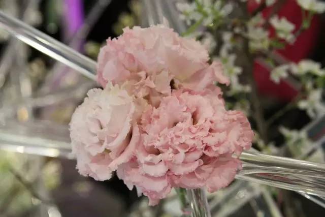 资生堂新透白美肌亮润象牙白,资生堂透白亮润系列怎么样