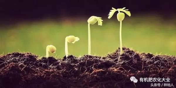 拿什么拯救你的成绩,拿什么拯救废了的你