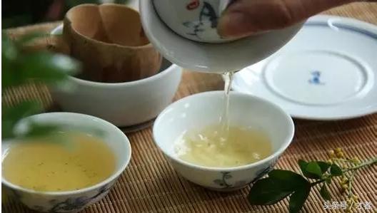 菊花决明子茶适合什么季节喝好,菊花决明子茶什么季节喝比较合适