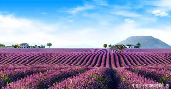 适合情侣河南旅游的地方,河南最适合情侣旅游的地方