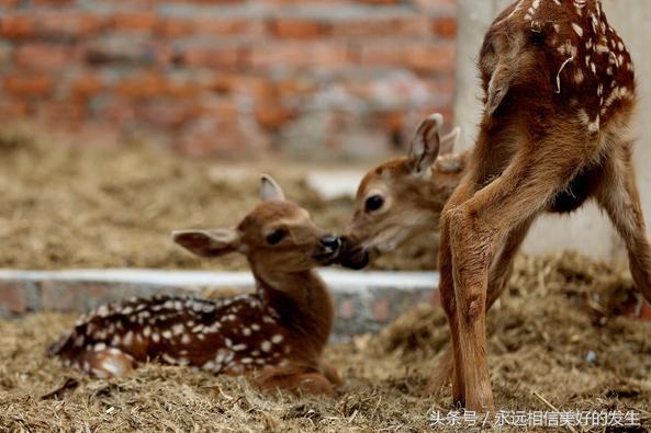 发现秦岭之美,发现陕西之美作文