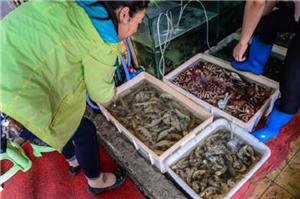 三亚适合同学去的地方 (高中毕业之旅三亚)