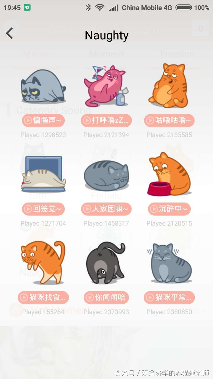 可以学猫叫的模拟器,猫叫模拟器下载安装