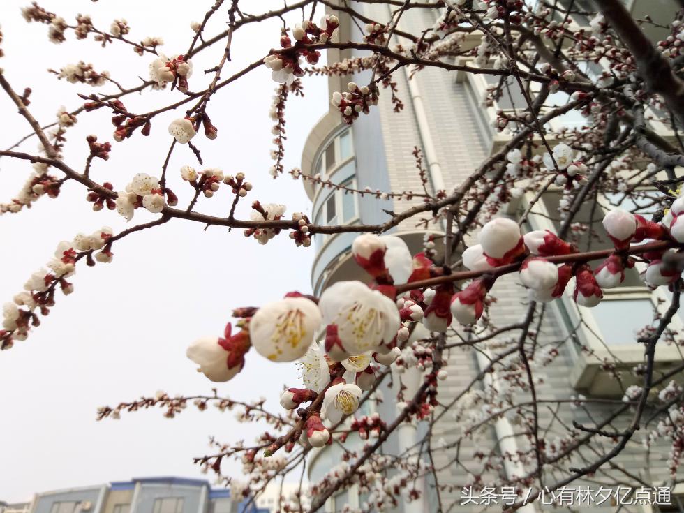 1600万全景摄像头,1600万前置摄像头好用吗